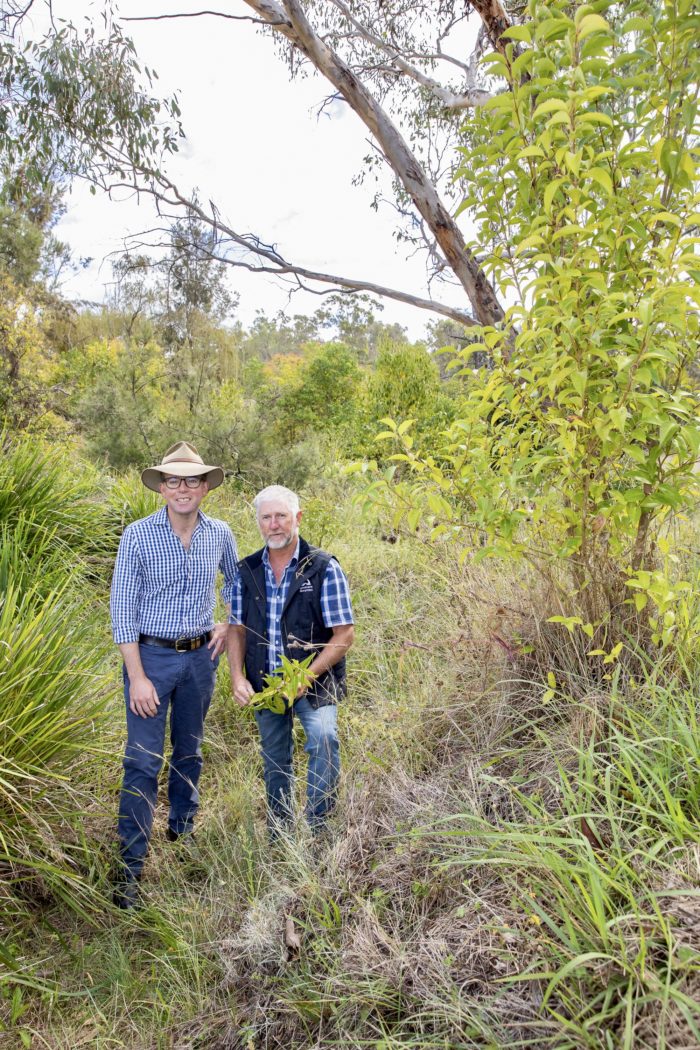 $100,000 RIPARIAN REPAIRS FOR TWO INVERELL DISTRICT CREEKS